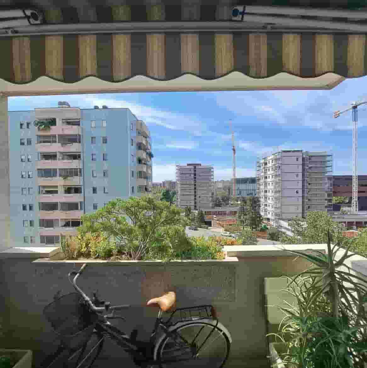 Thumbnail - Affitto stanza Singola