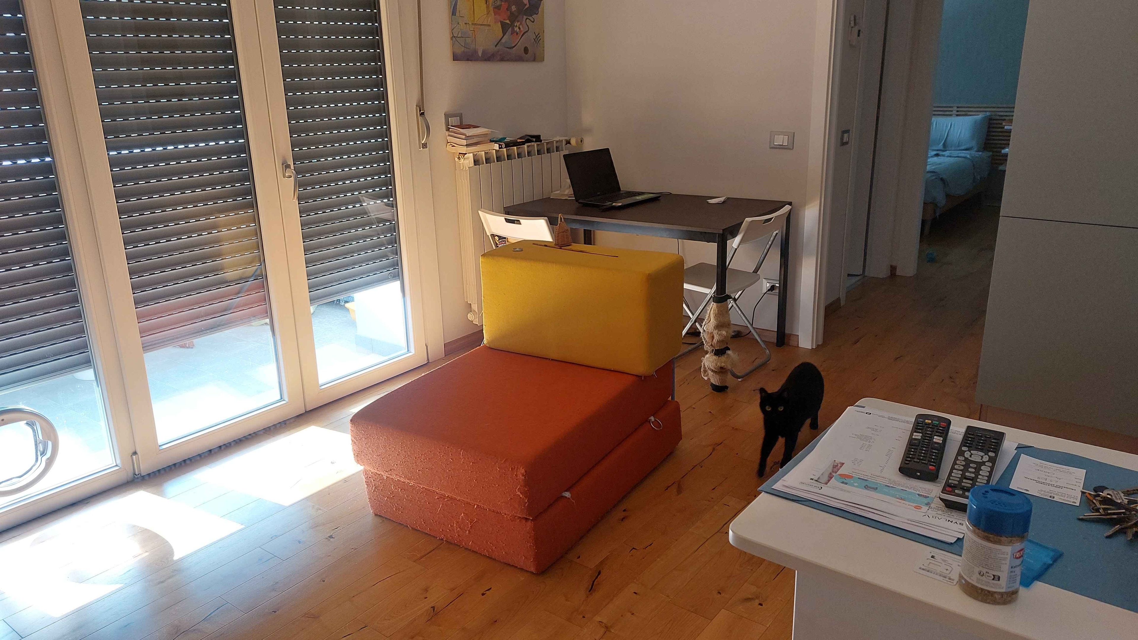 Immagine principale: Condivido casa