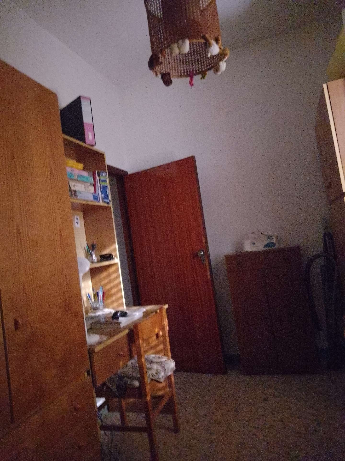 Immagine principale: affitto stanza singola