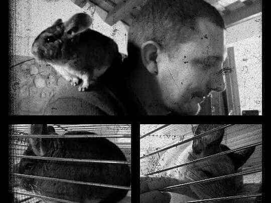 Thumbnail - Cerco conquilino/a per cercare appartamento