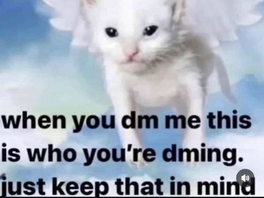 Immagine principale: Cerco doppia/singola qualsiasi cosa