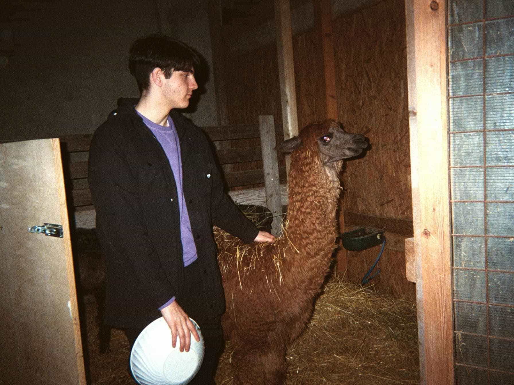 Immagine principale: cerco stanza doppia