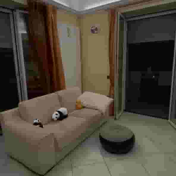 Thumbnail - Cerco coinquilina per condividere l’affitto .