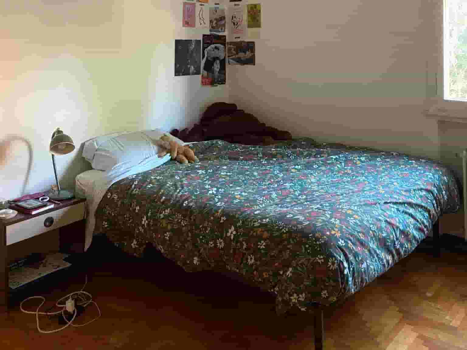 Thumbnail - Affitto stanza singola in via Jacopo Crescini