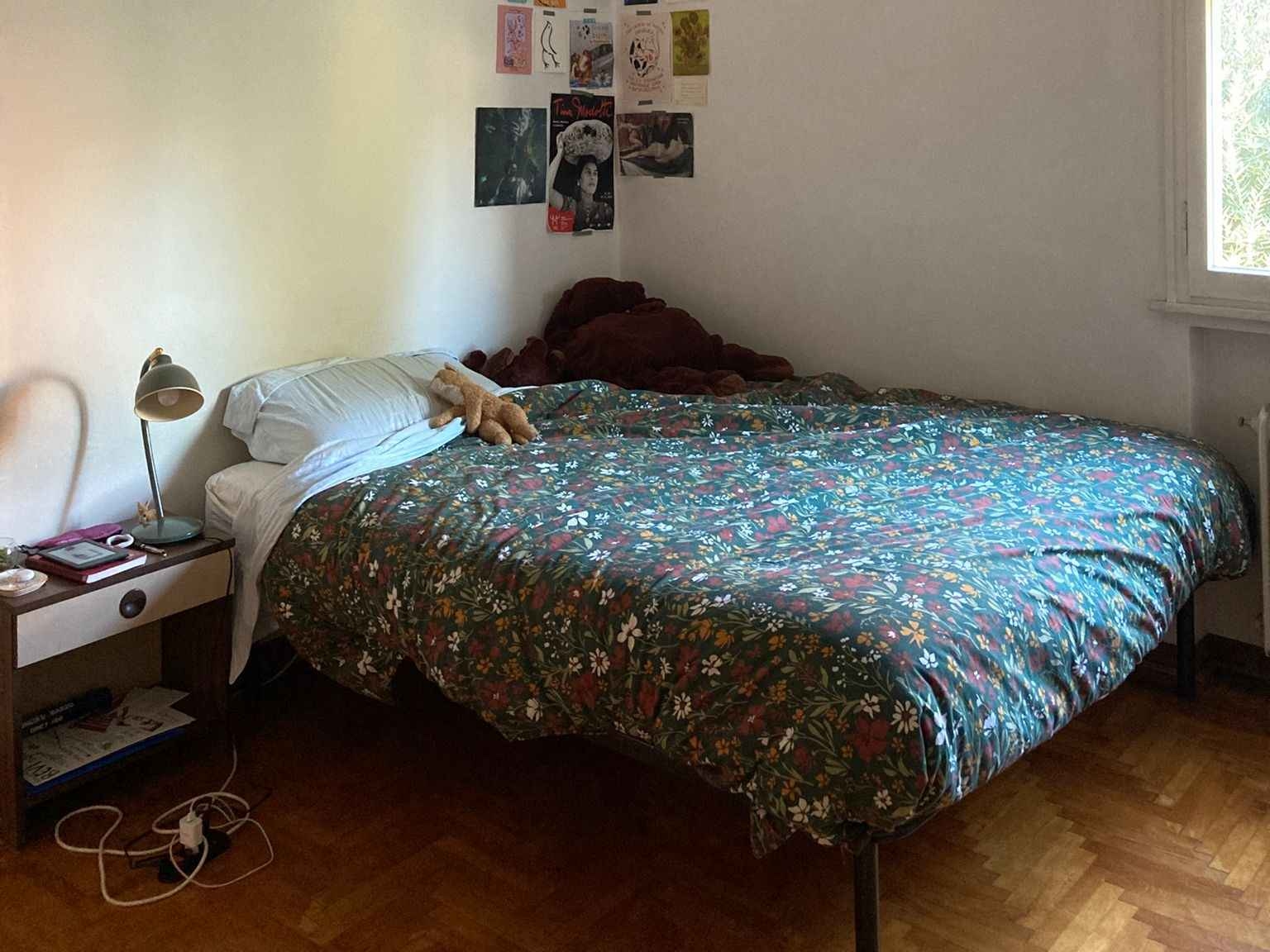 Immagine principale: Affitto stanza singola in via Jacopo Crescini