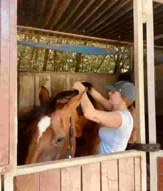 Thumbnail - Trilocale con due stanze separate